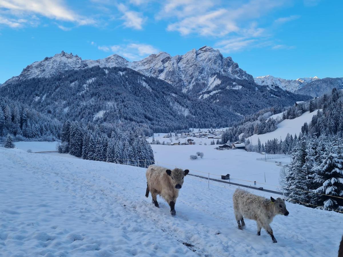 Biohof Untergroeber Διαμέρισμα Braies  Εξωτερικό φωτογραφία