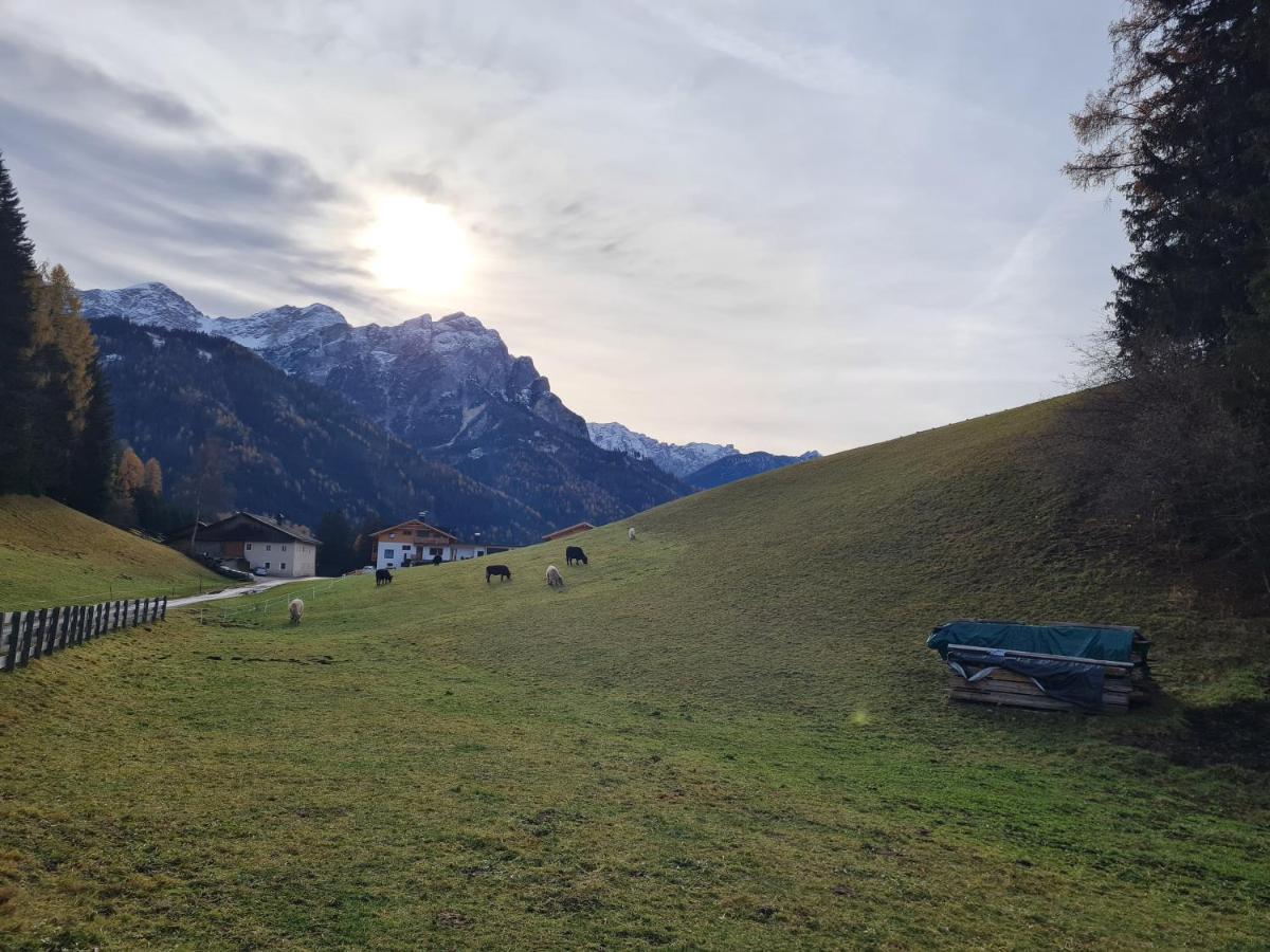 Biohof Untergroeber Διαμέρισμα Braies  Εξωτερικό φωτογραφία