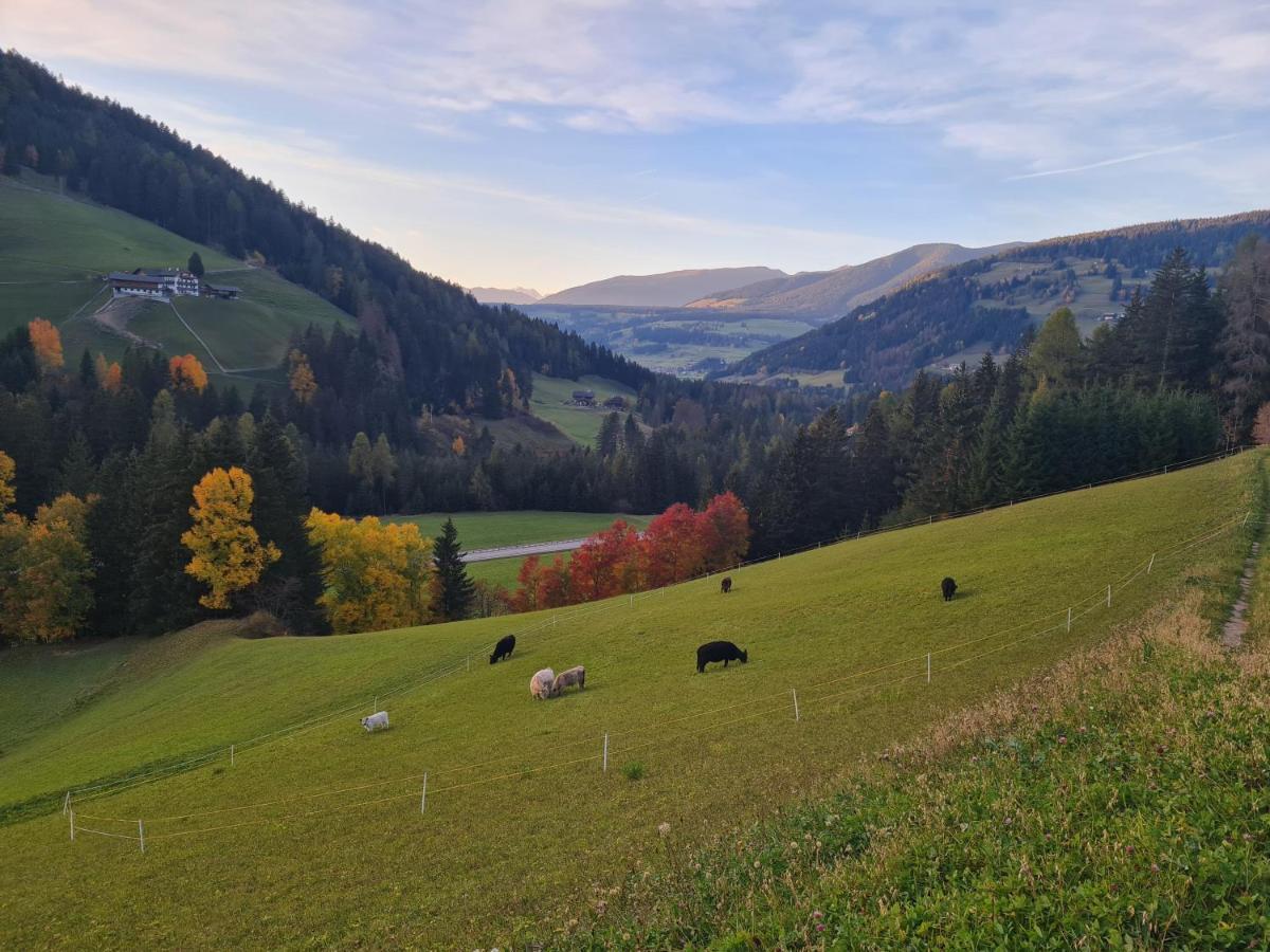Biohof Untergroeber Διαμέρισμα Braies  Εξωτερικό φωτογραφία