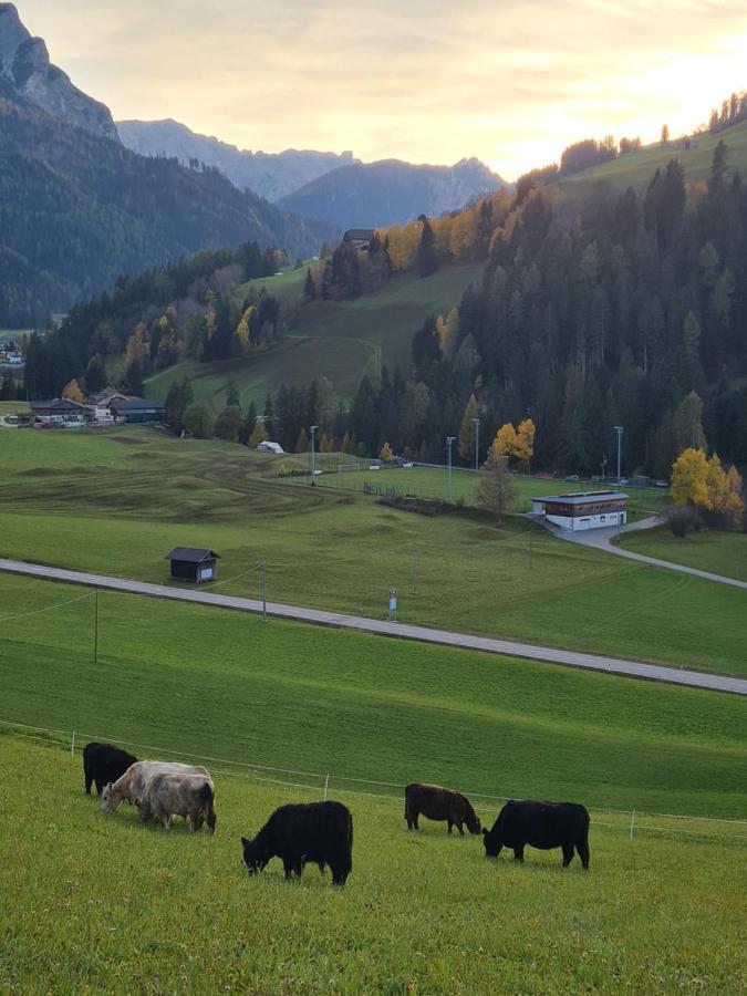 Biohof Untergroeber Διαμέρισμα Braies  Εξωτερικό φωτογραφία